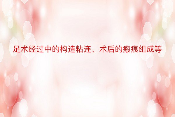 足术经过中的构造粘连、术后的瘢痕组成等