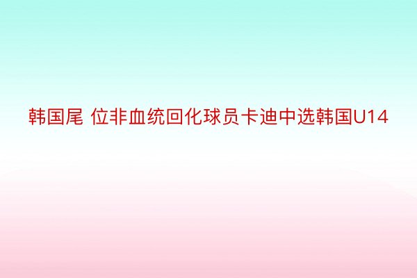 韩国尾 位非血统回化球员卡迪中选韩国U14