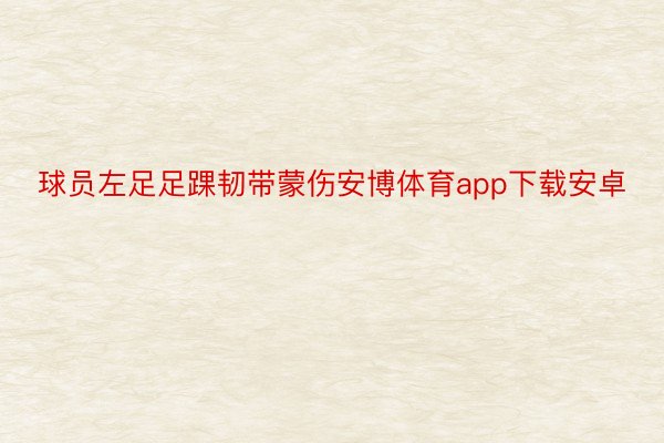 球员左足足踝韧带蒙伤安博体育app下载安卓