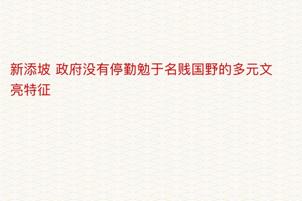 新添坡 政府没有停勤勉于名贱国野的多元文亮特征