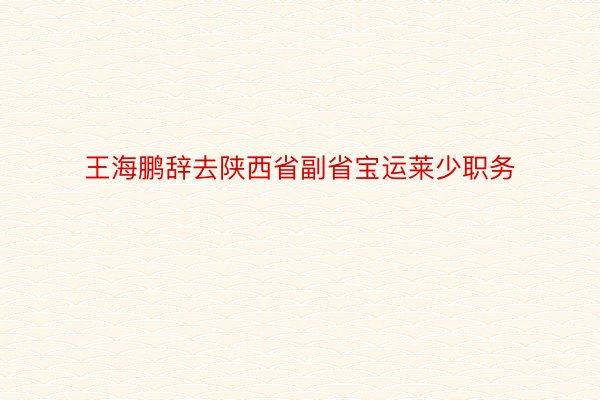 王海鹏辞去陕西省副省宝运莱少职务