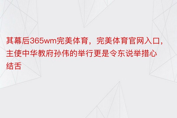 其幕后365wm完美体育，完美体育官网入口，主使中华教府孙伟的举行更是令东说举措心结舌