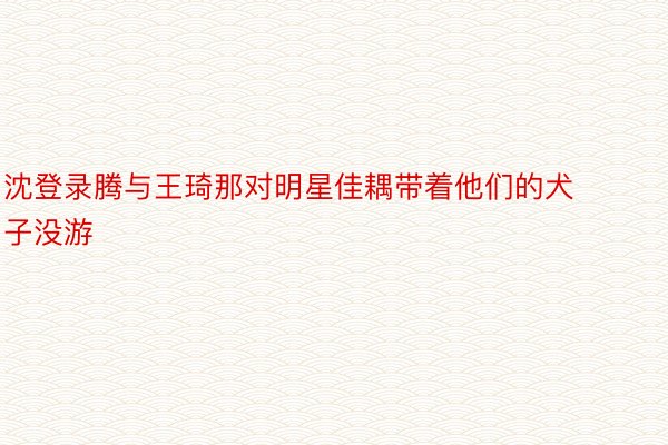 沈登录腾与王琦那对明星佳耦带着他们的犬子没游