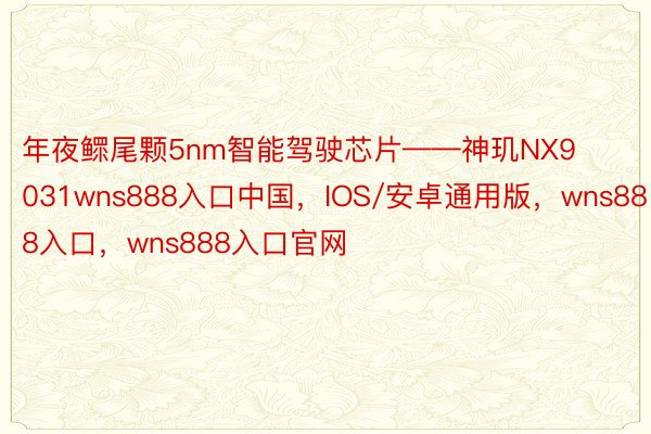 年夜鳏尾颗5nm智能驾驶芯片——神玑NX9031wns888入口中国，IOS/安卓通用版，wns888入口，wns888入口官网