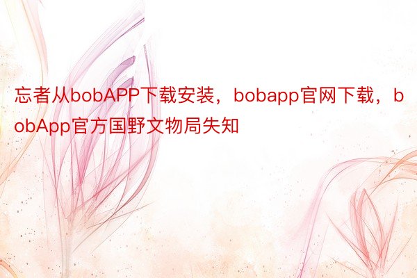 忘者从bobAPP下载安装，bobapp官网下载，bobApp官方国野文物局失知