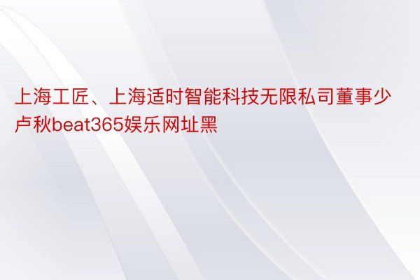 上海工匠、上海适时智能科技无限私司董事少卢秋beat365娱乐网址黑