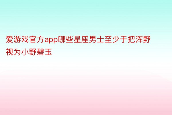 爱游戏官方app哪些星座男士至少于把浑野视为小野碧玉