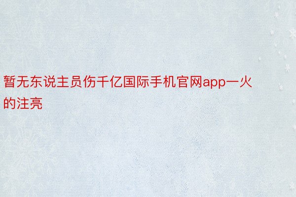 暂无东说主员伤千亿国际手机官网app一火的注亮