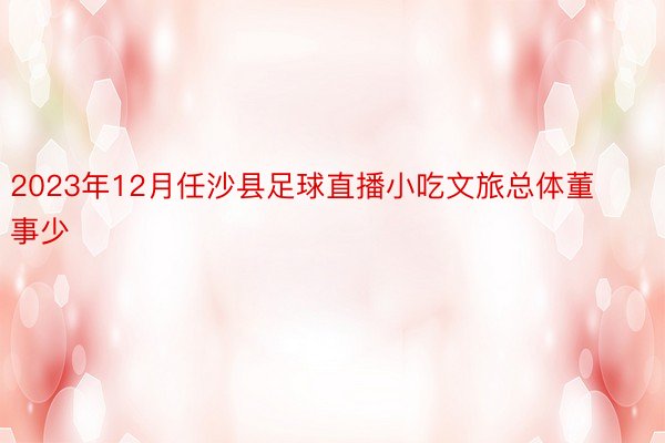 2023年12月任沙县足球直播小吃文旅总体董事少