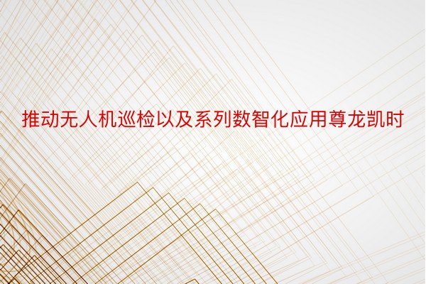 推动无人机巡检以及系列数智化应用尊龙凯时