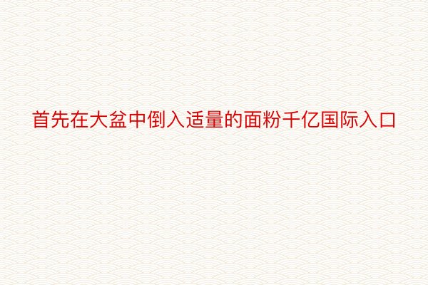 首先在大盆中倒入适量的面粉千亿国际入口