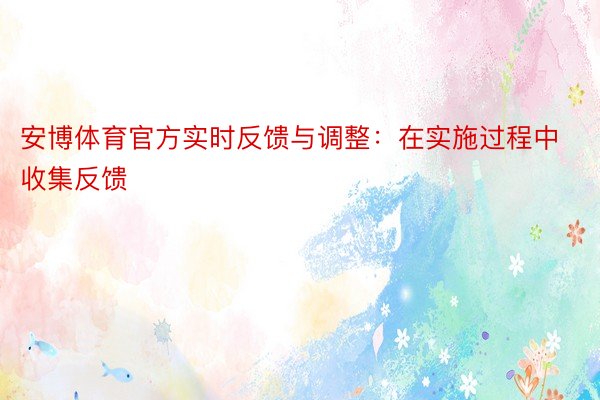 安博体育官方实时反馈与调整：在实施过程中收集反馈