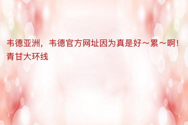 韦德亚洲，韦德官方网址因为真是好～累～啊！青甘大环线