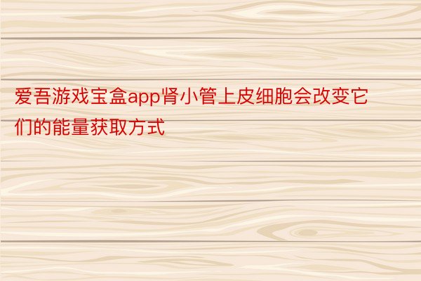 爱吾游戏宝盒app肾小管上皮细胞会改变它们的能量获取方式