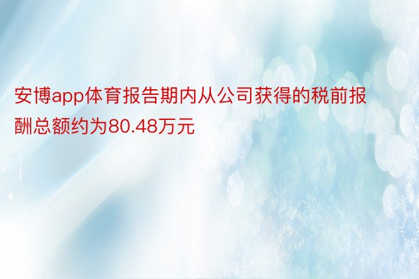 安博app体育报告期内从公司获得的税前报酬总额约为80.48万元