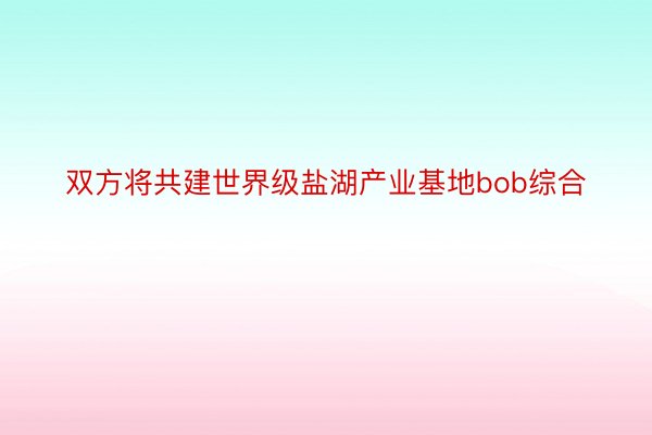 双方将共建世界级盐湖产业基地bob综合